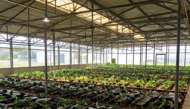 水电改造中如何选择合适的改造方案，优化室内设计